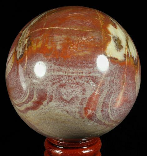 Colorful Petrified Wood Sphere - Madagascar #60528